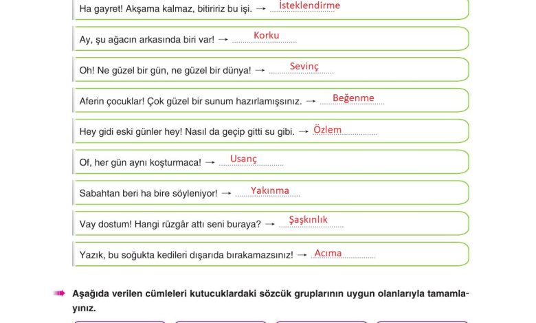 6. Sınıf Yıldırım Yayınları Türkçe Ders Kitabı Sayfa 263 Cevapları