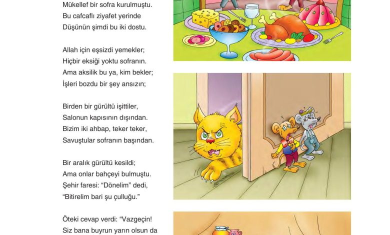 6. Sınıf Yıldırım Yayınları Türkçe Ders Kitabı Sayfa 266 Cevapları