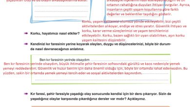 6. Sınıf Yıldırım Yayınları Türkçe Ders Kitabı Sayfa 268 Cevapları