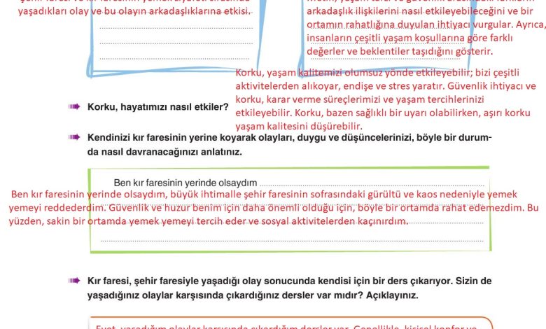 6. Sınıf Yıldırım Yayınları Türkçe Ders Kitabı Sayfa 268 Cevapları