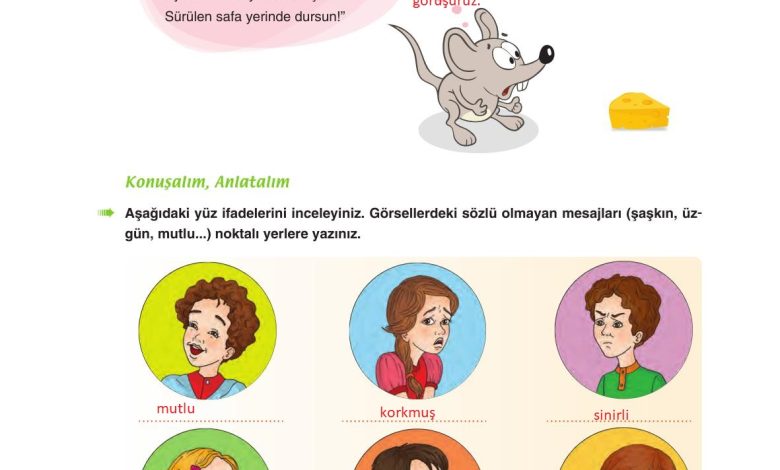 6. Sınıf Yıldırım Yayınları Türkçe Ders Kitabı Sayfa 270 Cevapları