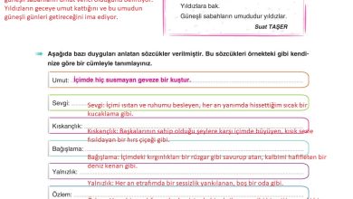 6. Sınıf Yıldırım Yayınları Türkçe Ders Kitabı Sayfa 273 Cevapları