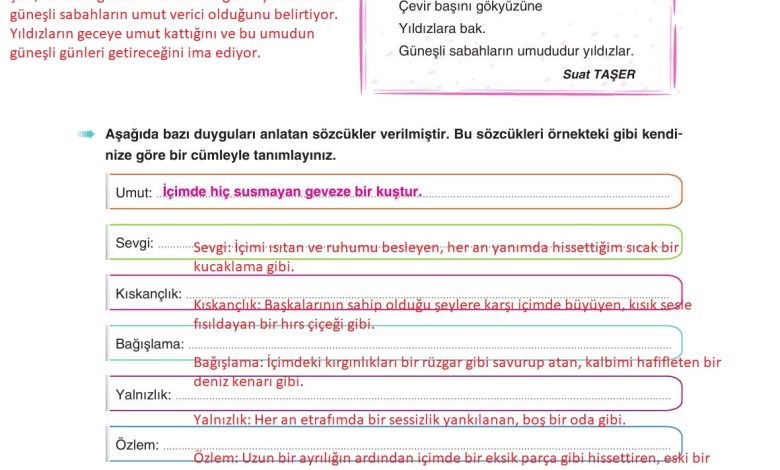 6. Sınıf Yıldırım Yayınları Türkçe Ders Kitabı Sayfa 273 Cevapları