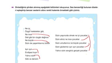 6. Sınıf Yıldırım Yayınları Türkçe Ders Kitabı Sayfa 275 Cevapları