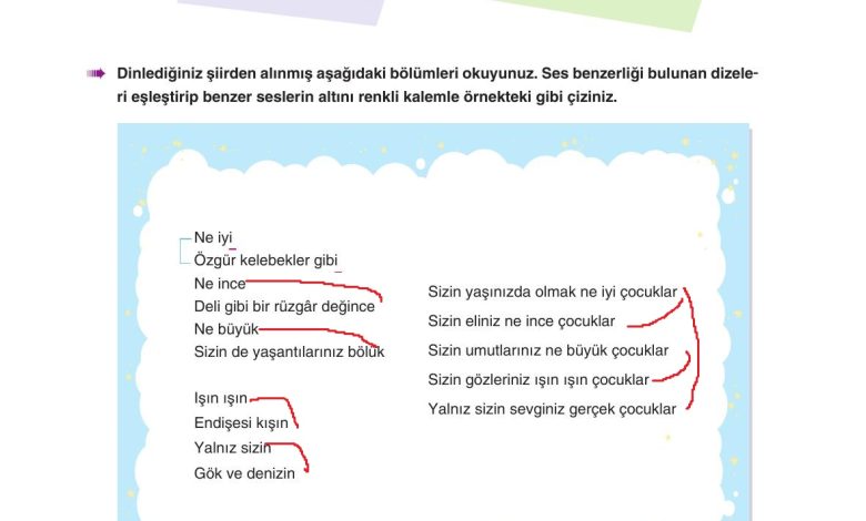 6. Sınıf Yıldırım Yayınları Türkçe Ders Kitabı Sayfa 275 Cevapları