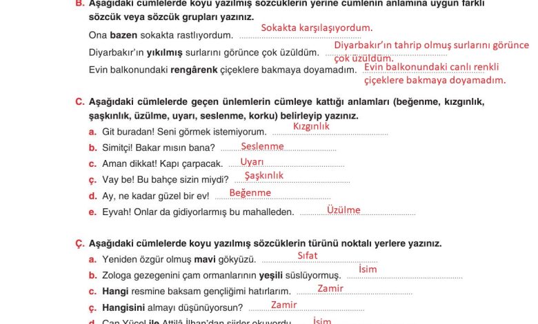 6. Sınıf Yıldırım Yayınları Türkçe Ders Kitabı Sayfa 278 Cevapları