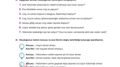 6. Sınıf Yıldırım Yayınları Türkçe Ders Kitabı Sayfa 28 Cevapları