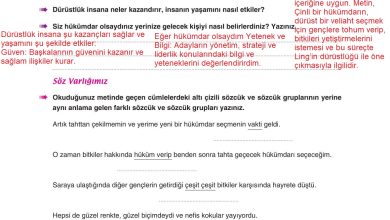 6. Sınıf Yıldırım Yayınları Türkçe Ders Kitabı Sayfa 29 Cevapları