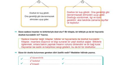 6. Sınıf Yıldırım Yayınları Türkçe Ders Kitabı Sayfa 34 Cevapları