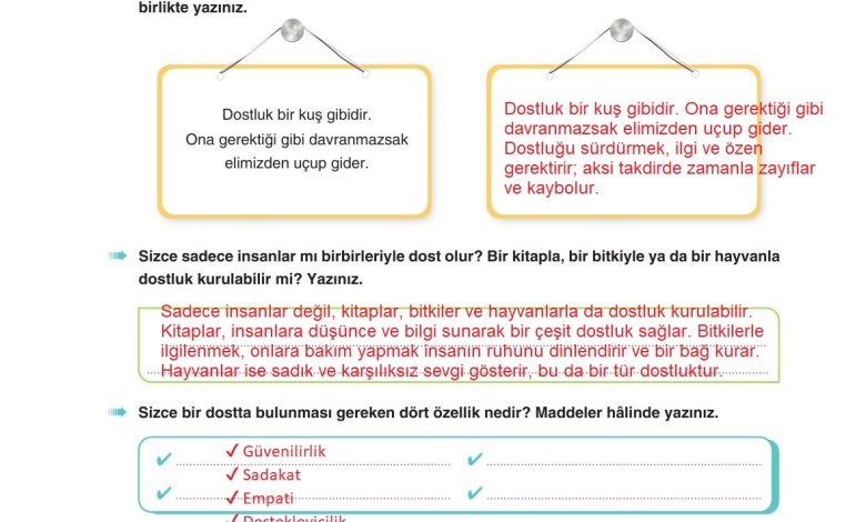 6. Sınıf Yıldırım Yayınları Türkçe Ders Kitabı Sayfa 34 Cevapları