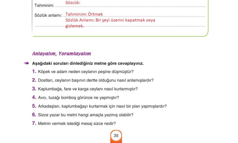 6. Sınıf Yıldırım Yayınları Türkçe Ders Kitabı Sayfa 35 Cevapları