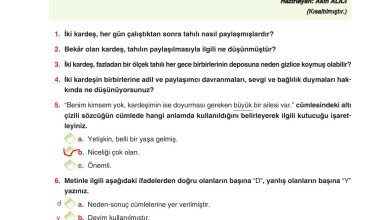 6. Sınıf Yıldırım Yayınları Türkçe Ders Kitabı Sayfa 40 Cevapları