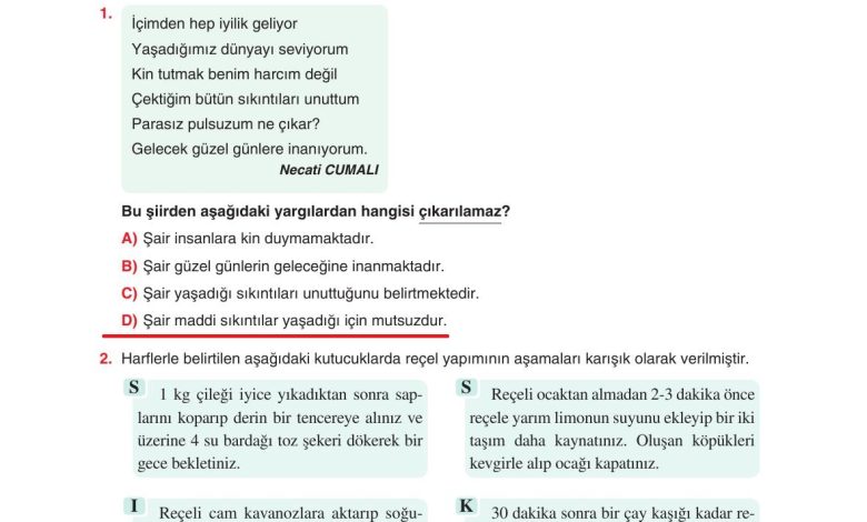 6. Sınıf Yıldırım Yayınları Türkçe Ders Kitabı Sayfa 41 Cevapları