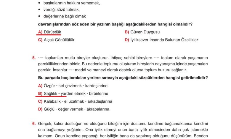 6. Sınıf Yıldırım Yayınları Türkçe Ders Kitabı Sayfa 42 Cevapları