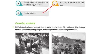 6. Sınıf Yıldırım Yayınları Türkçe Ders Kitabı Sayfa 48 Cevapları