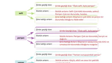 6. Sınıf Yıldırım Yayınları Türkçe Ders Kitabı Sayfa 51 Cevapları