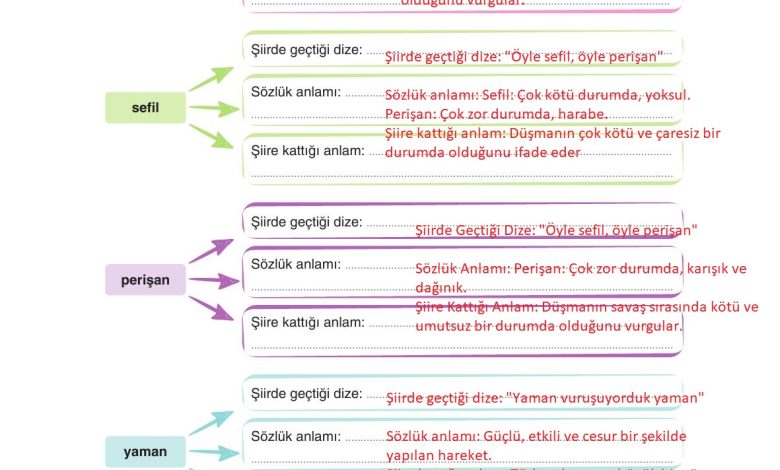 6. Sınıf Yıldırım Yayınları Türkçe Ders Kitabı Sayfa 51 Cevapları