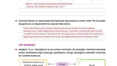 6. Sınıf Yıldırım Yayınları Türkçe Ders Kitabı Sayfa 52 Cevapları