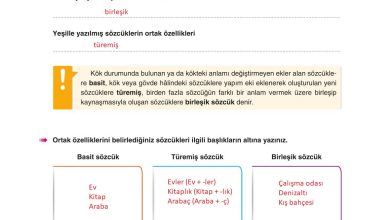 6. Sınıf Yıldırım Yayınları Türkçe Ders Kitabı Sayfa 53 Cevapları