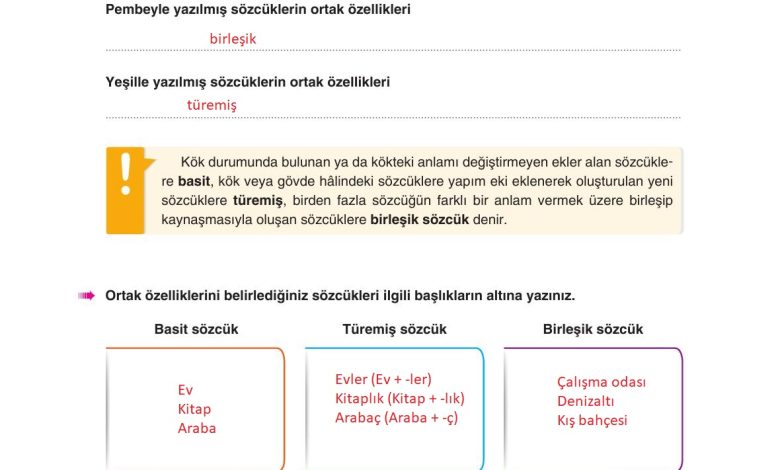 6. Sınıf Yıldırım Yayınları Türkçe Ders Kitabı Sayfa 53 Cevapları