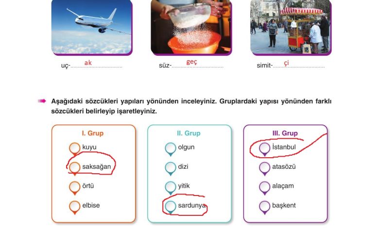 6. Sınıf Yıldırım Yayınları Türkçe Ders Kitabı Sayfa 55 Cevapları