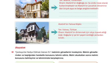 6. Sınıf Yıldırım Yayınları Türkçe Ders Kitabı Sayfa 57 Cevapları