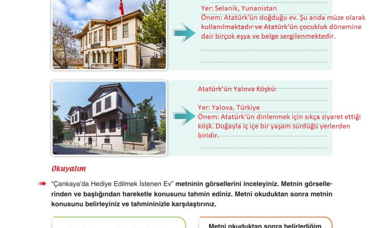 6. Sınıf Yıldırım Yayınları Türkçe Ders Kitabı Sayfa 57 Cevapları