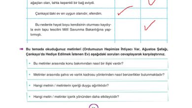 6. Sınıf Yıldırım Yayınları Türkçe Ders Kitabı Sayfa 61 Cevapları