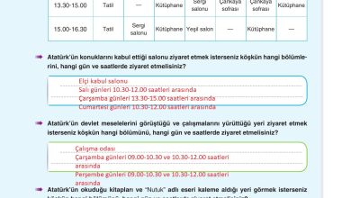 6. Sınıf Yıldırım Yayınları Türkçe Ders Kitabı Sayfa 65 Cevapları