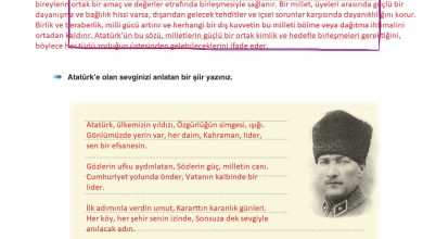 6. Sınıf Yıldırım Yayınları Türkçe Ders Kitabı Sayfa 66 Cevapları