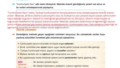 6. Sınıf Yıldırım Yayınları Türkçe Ders Kitabı Sayfa 67 Cevapları