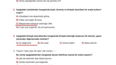 6. Sınıf Yıldırım Yayınları Türkçe Ders Kitabı Sayfa 75 Cevapları