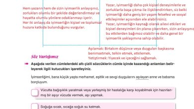 6. Sınıf Yıldırım Yayınları Türkçe Ders Kitabı Sayfa 80 Cevapları