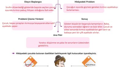 6. Sınıf Yıldırım Yayınları Türkçe Ders Kitabı Sayfa 87 Cevapları