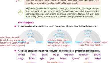 6. Sınıf Yıldırım Yayınları Türkçe Ders Kitabı Sayfa 88 Cevapları