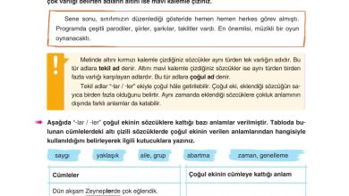 6. Sınıf Yıldırım Yayınları Türkçe Ders Kitabı Sayfa 89 Cevapları