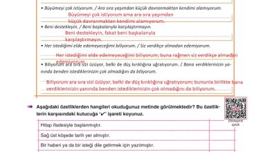 6. Sınıf Yıldırım Yayınları Türkçe Ders Kitabı Sayfa 95 Cevapları