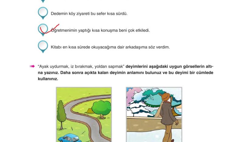 6. Sınıf Yıldırım Yayınları Türkçe Ders Kitabı Sayfa 96 Cevapları