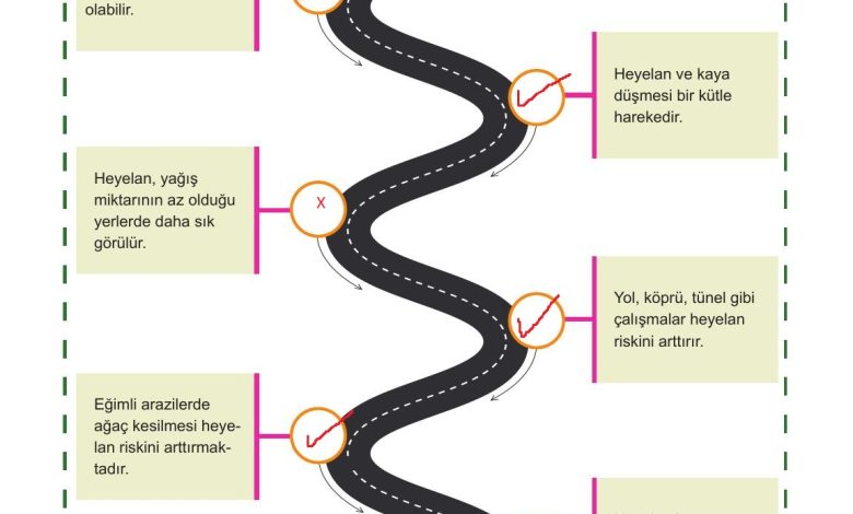 7. Sınıf Meb Yayınları Afet Bilinci Ders Kitabı Sayfa 136 Cevapları