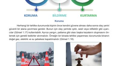 7. Sınıf Meb Yayınları Afet Bilinci Ders Kitabı Sayfa 41 Cevapları