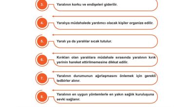 7. Sınıf Meb Yayınları Afet Bilinci Ders Kitabı Sayfa 43 Cevapları