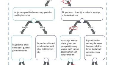 7. Sınıf Meb Yayınları Afet Bilinci Ders Kitabı Sayfa 44 Cevapları