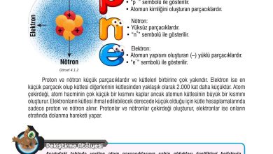 7. Sınıf Meb Yayınları Fen Bilimleri Ders Kitabı Sayfa 101 Cevapları