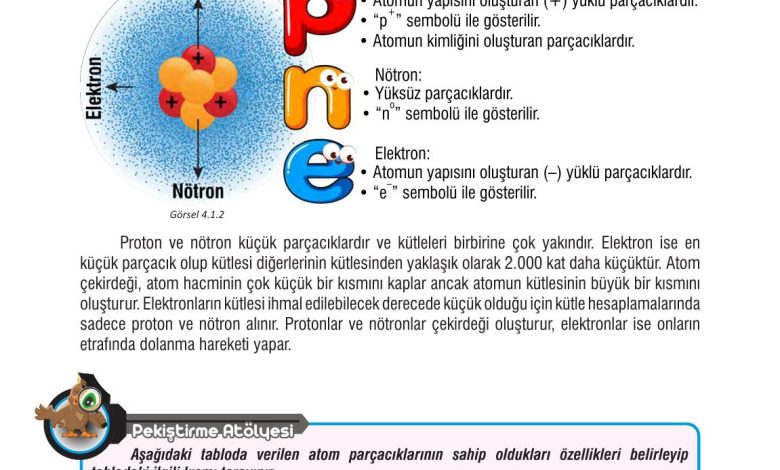 7. Sınıf Meb Yayınları Fen Bilimleri Ders Kitabı Sayfa 101 Cevapları