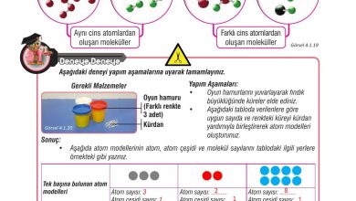 7. Sınıf Meb Yayınları Fen Bilimleri Ders Kitabı Sayfa 106 Cevapları