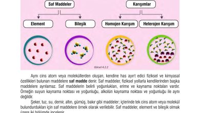 7. Sınıf Meb Yayınları Fen Bilimleri Ders Kitabı Sayfa 109 Cevapları