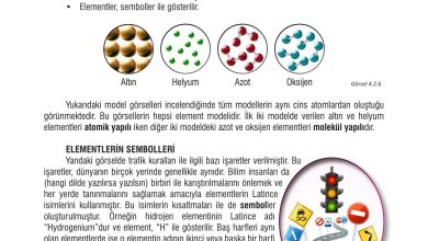 7. Sınıf Meb Yayınları Fen Bilimleri Ders Kitabı Sayfa 110 Cevapları