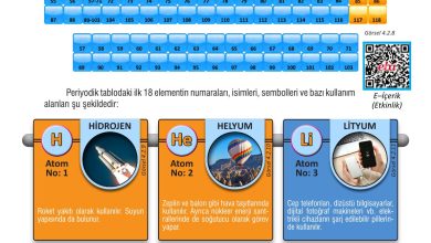 7. Sınıf Meb Yayınları Fen Bilimleri Ders Kitabı Sayfa 111 Cevapları