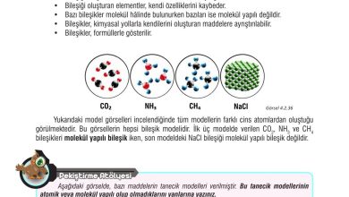 7. Sınıf Meb Yayınları Fen Bilimleri Ders Kitabı Sayfa 114 Cevapları