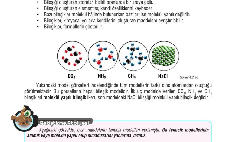 7. Sınıf Meb Yayınları Fen Bilimleri Ders Kitabı Sayfa 114 Cevapları